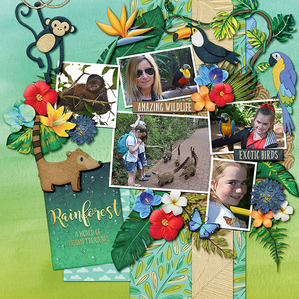 Rainforest Treasures