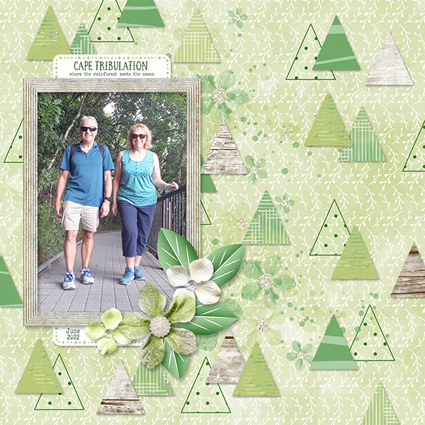 Rainforest Vacation