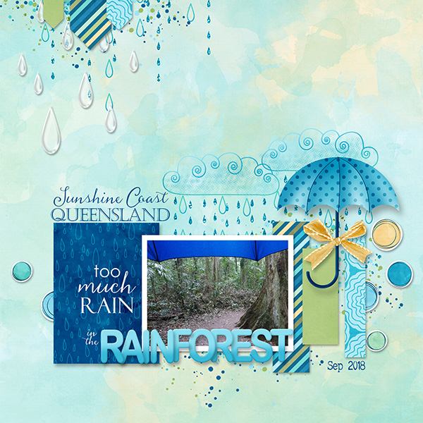 Rainforest