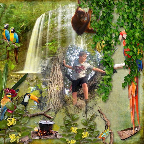 Rainforest