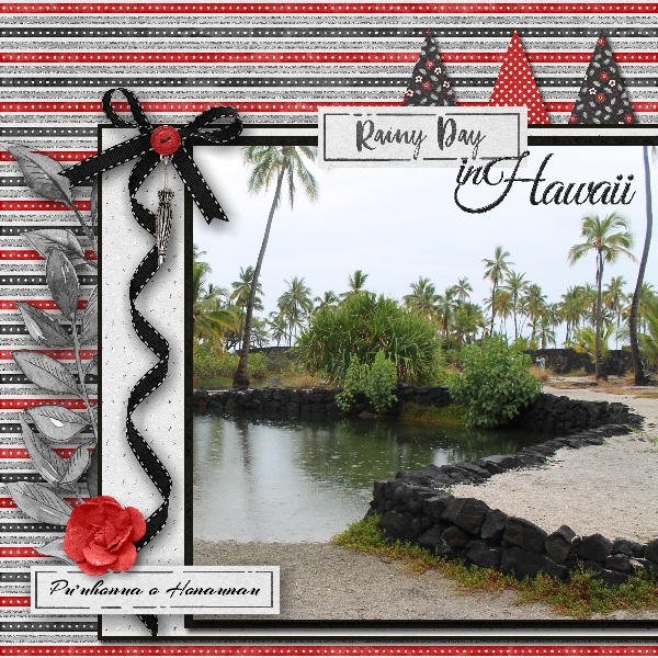 Rainy Day in Hawaii