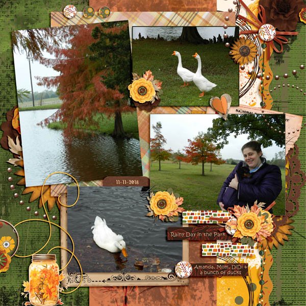 Rainy Day in the Park