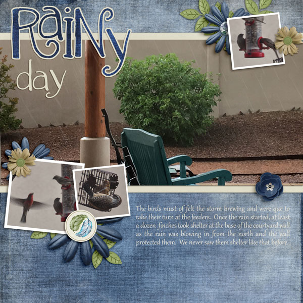 Rainy Day with the birds