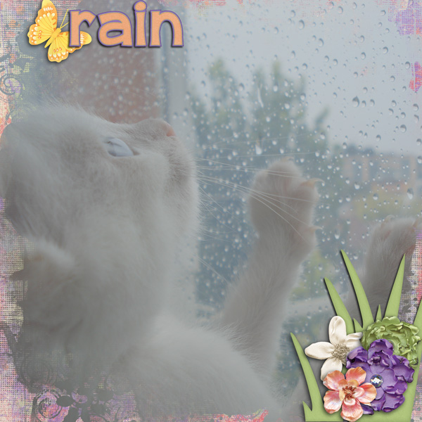 Rainy day