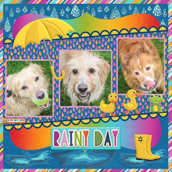 Rainy Day!