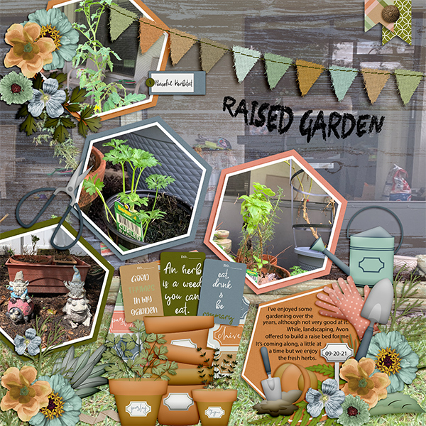 Raised Garden