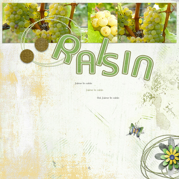 Raisin