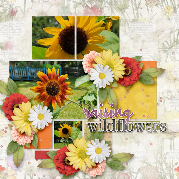 Raising Wildflowers