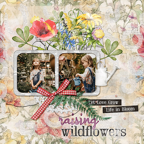 Raising Wildflowers