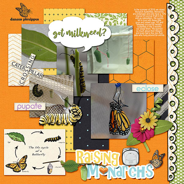 raising_monarchs
