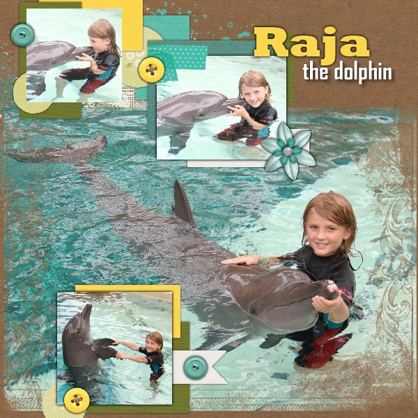 Raja the Dolphin