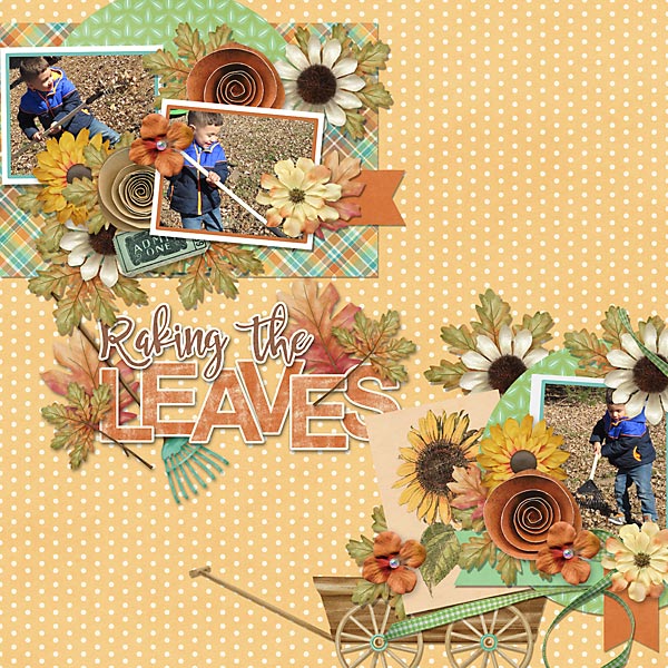 Raking The Leaves