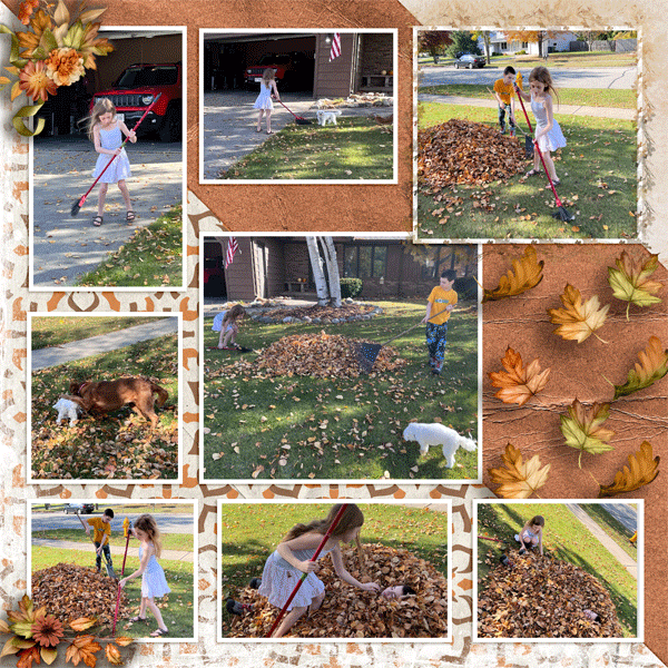 Raking_Leaves_L