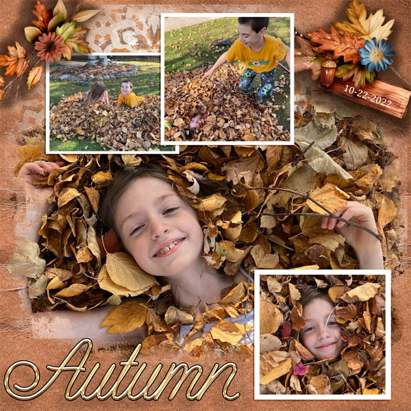 Raking_Leaves_R