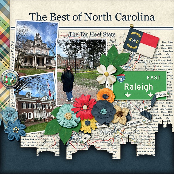 Raleigh, N Carolina