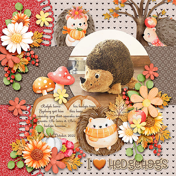 Ralphs Hedgie