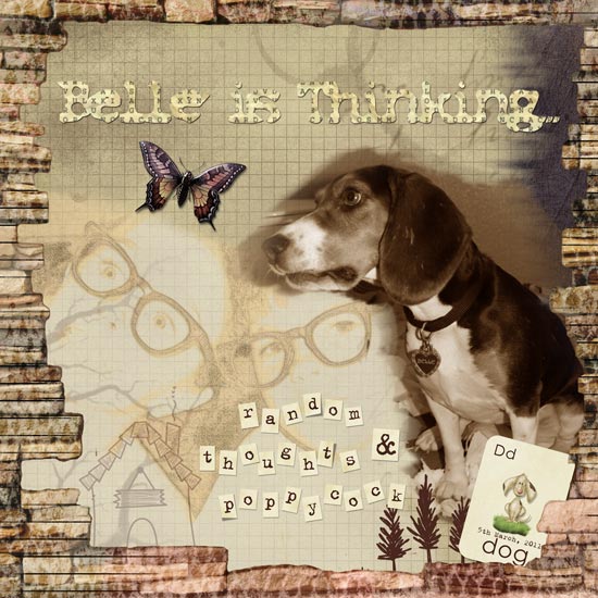 Random Thoughts and Poppycock