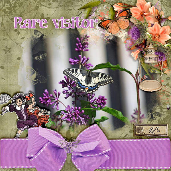 Rare-visitor