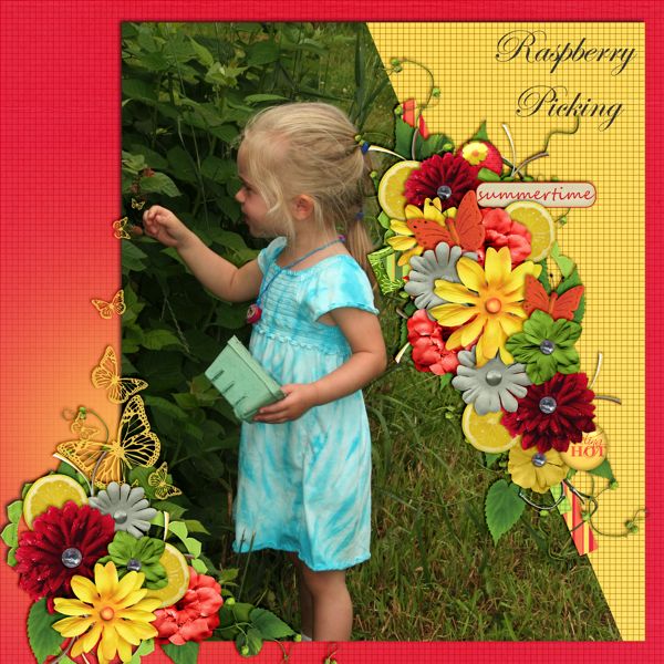 Raspberry Picking