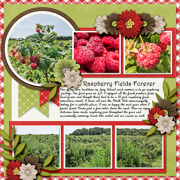 Raspberry Picking