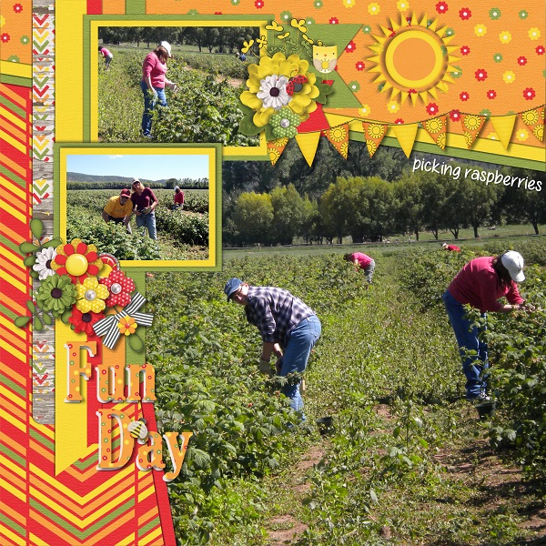 Raspberry Picking