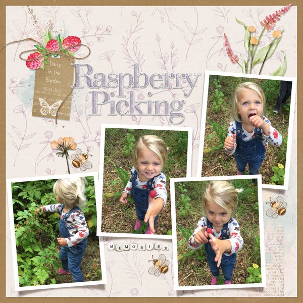 Raspberry Picking