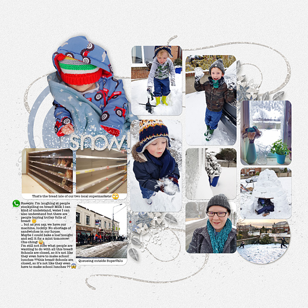 Ratoath's Big Snow RHS