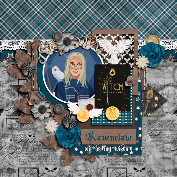 Ravenclaw witch
