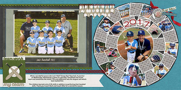 Rays- T Ball 2017