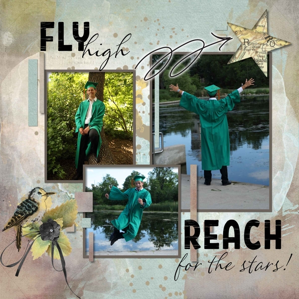 Reach for the Stars