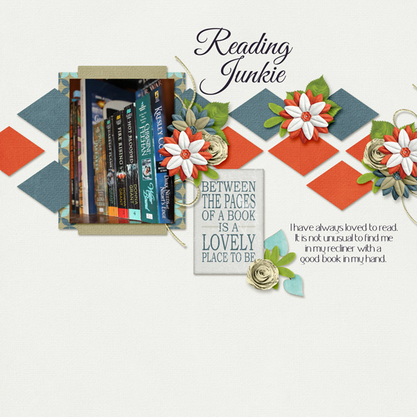 Reading Junkie