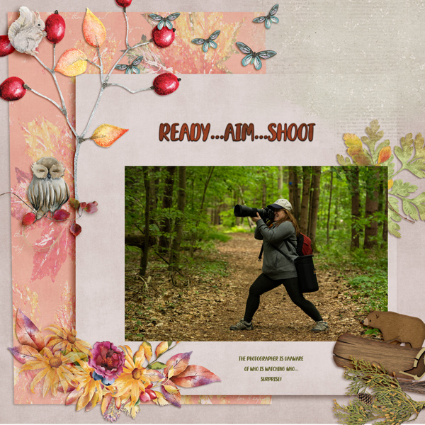 READY AIM SHOOT - INSPIRATION CHALLENGE - MARCH 2022