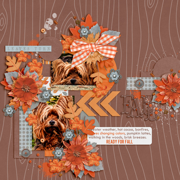 Ready for Fall