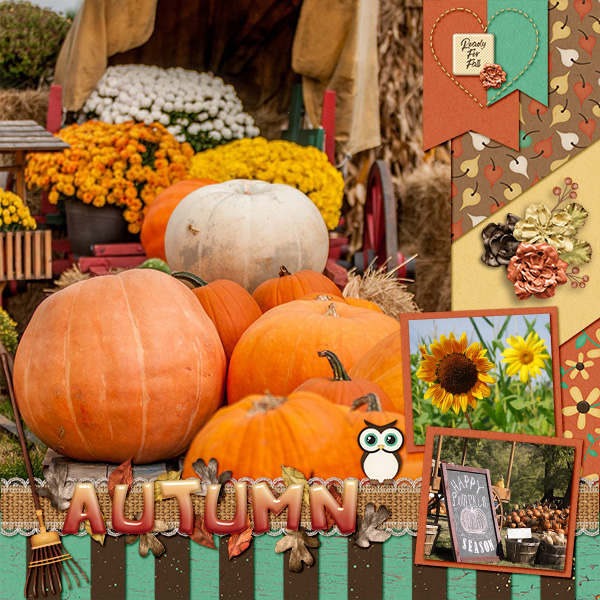 Ready For Fall