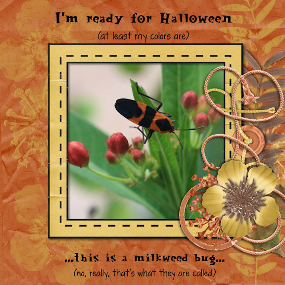 Ready for Halloween