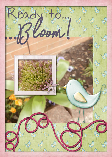 Ready to Bloom