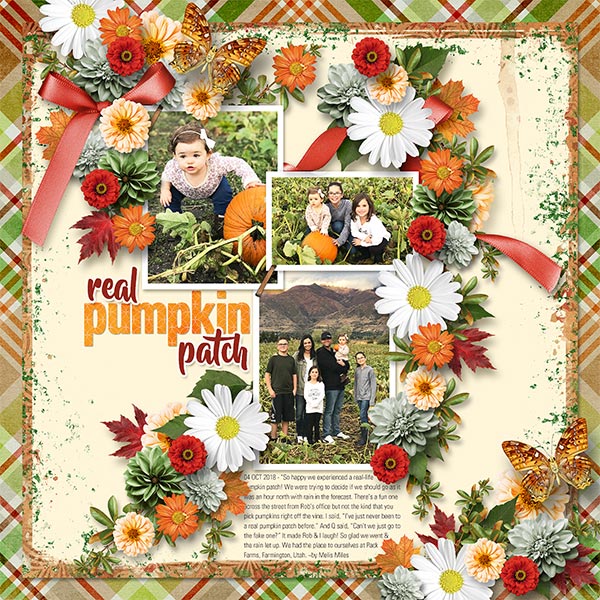 REAL PUMPKIN PATCH