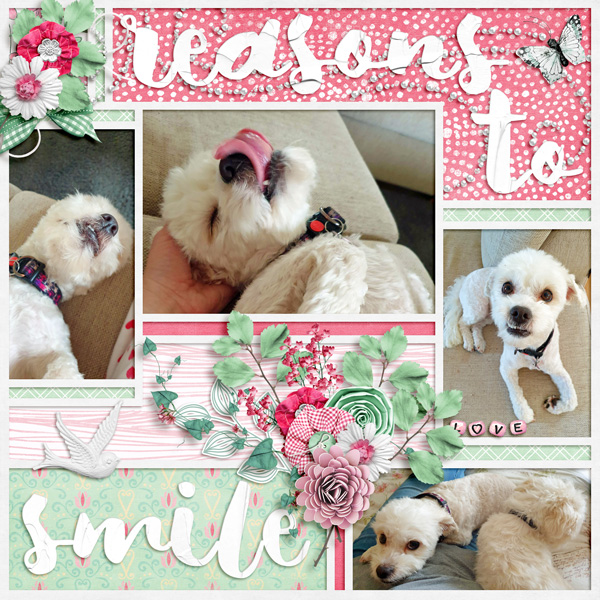 Reasons to smile