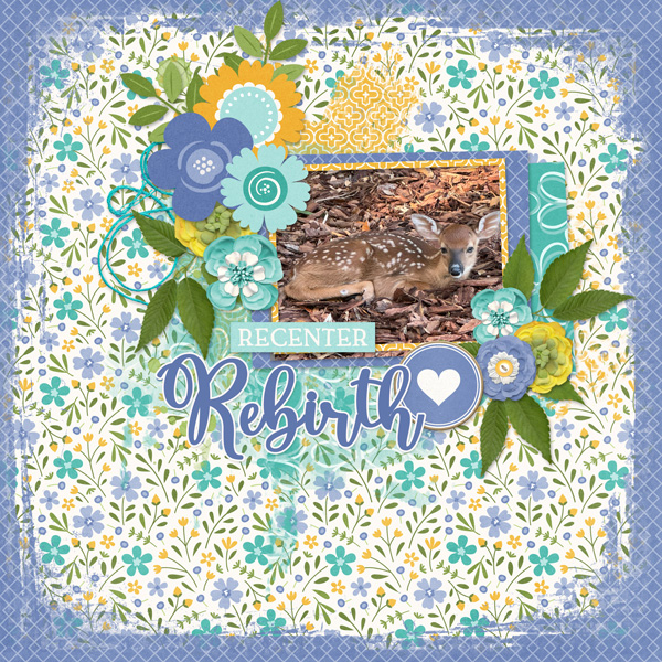 Rebirth