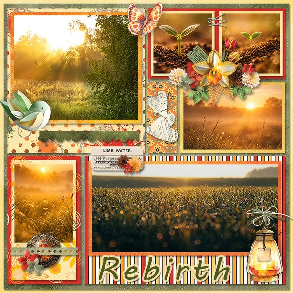 Rebirth_ollitko_600.jpg