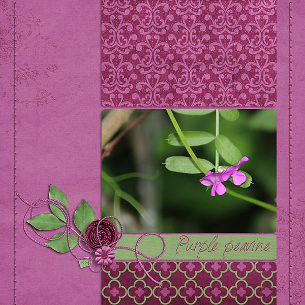 Recipe Challenge ~ Jun 15
