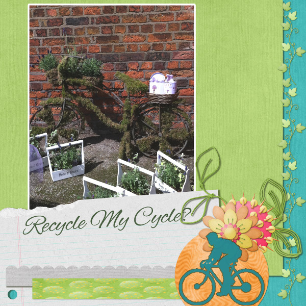 Recycle My Cycle?