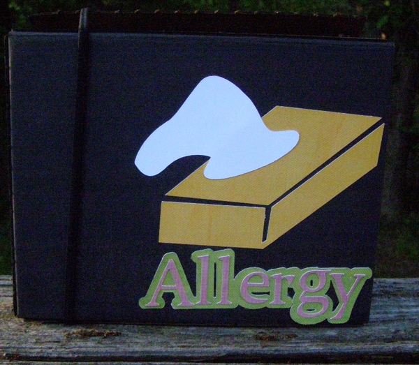 Recycled box project 1