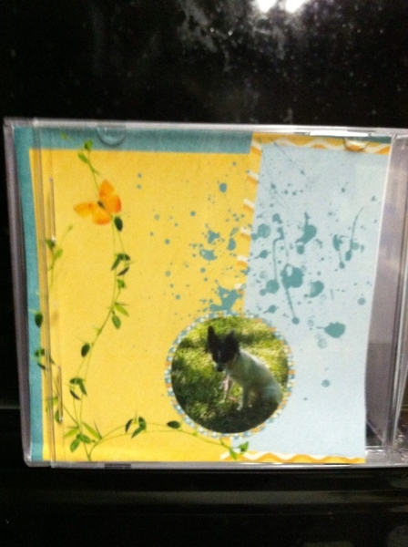 Recycled CD case