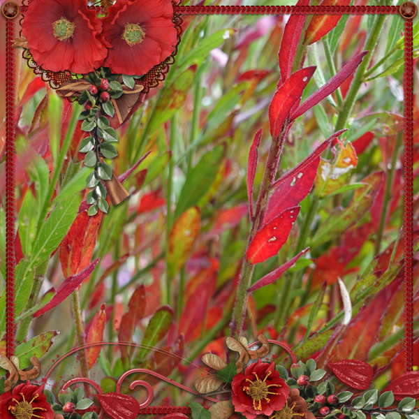 Red and Green
