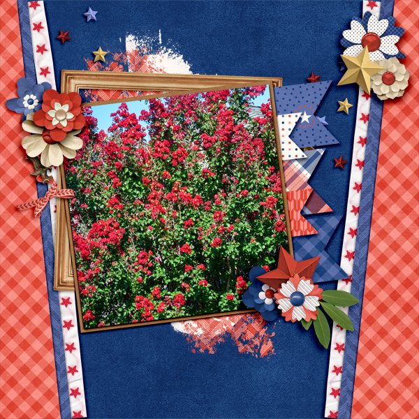 Red Crepe Myrtle July 2026