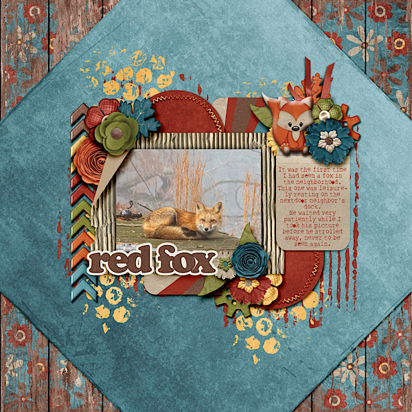 Red Fox