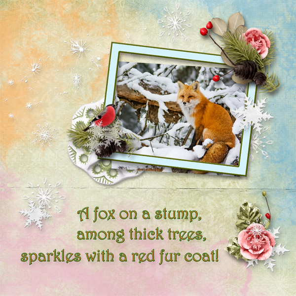 red fox