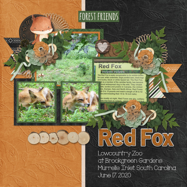 Red Fox