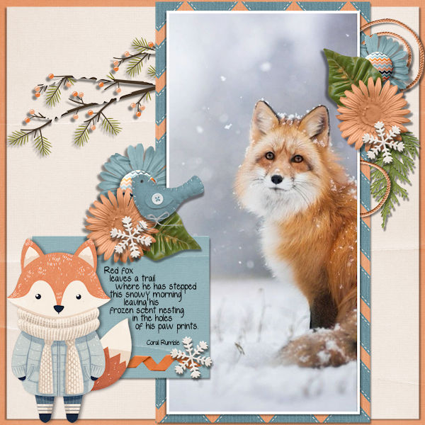 Red Fox